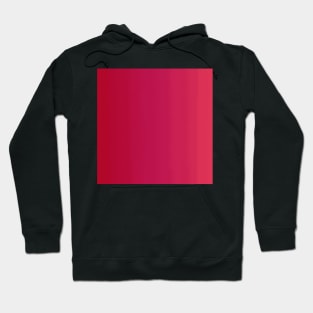 Red Ombre Gradient Hoodie